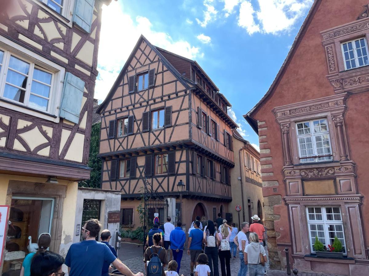 Rive Petite Venise Appartement Luxe - Centre Ville Colmar - Clim, Ascenseur & Possibilite Parking Экстерьер фото
